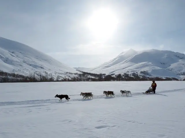 adrenaline junkie bucket list - dog sledding in tromso, norway